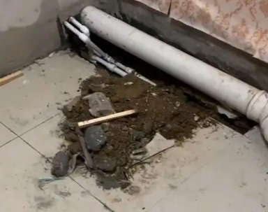 绵阳市卫生间漏水检测哪家好